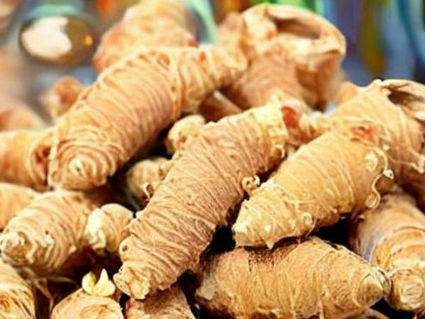 西洋参的药理作用和食用禁忌？